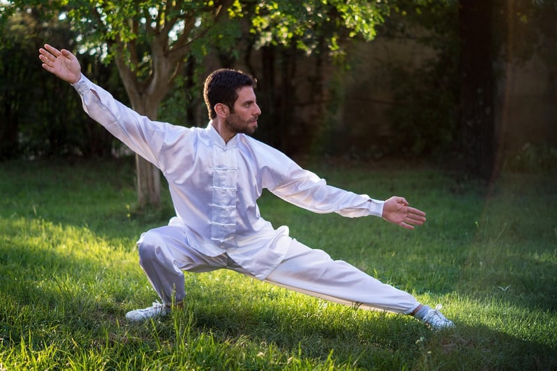 Yang Style Tai Chi Posture
